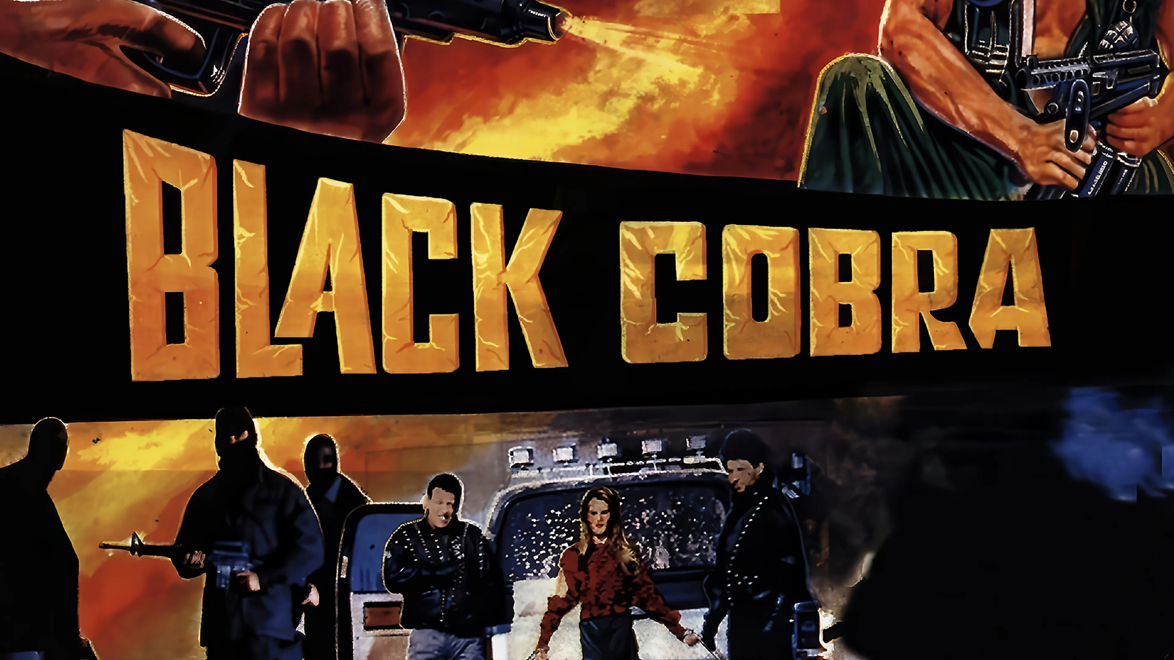 Black Cobra poster